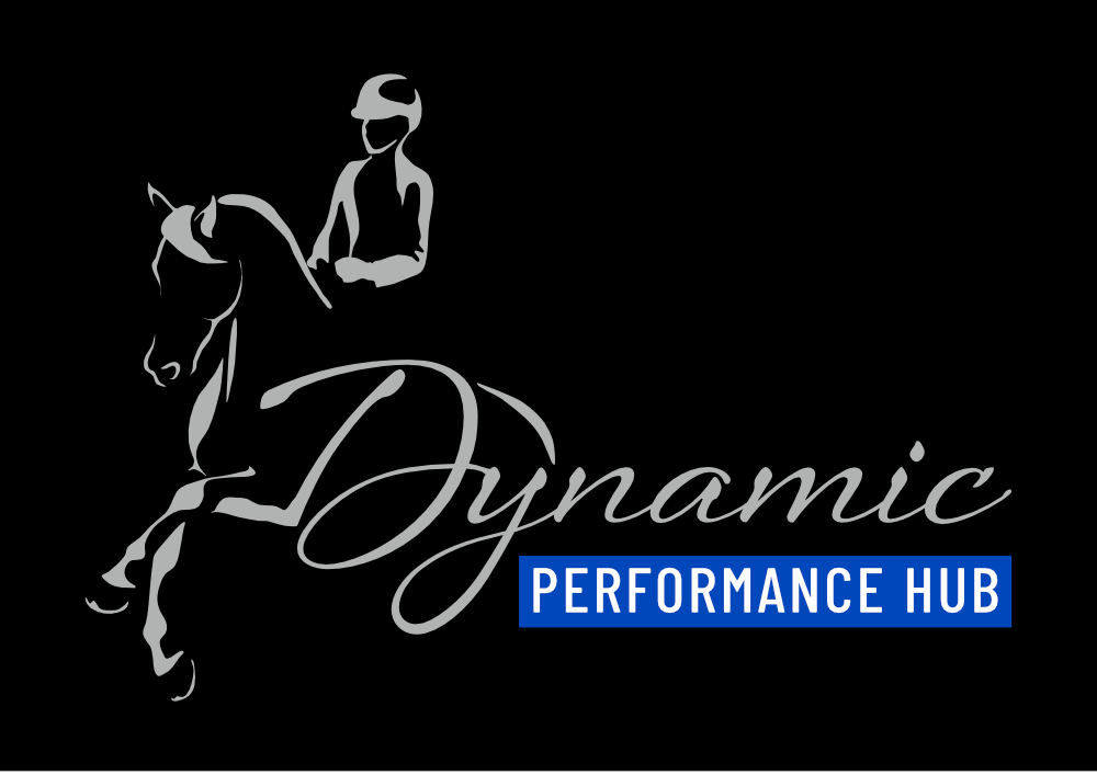 Dynamic Performance Hub Shop